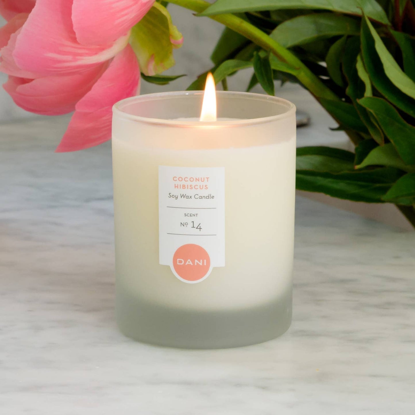 DANI Naturals - 6oz Coconut Hibiscus Candle Tin