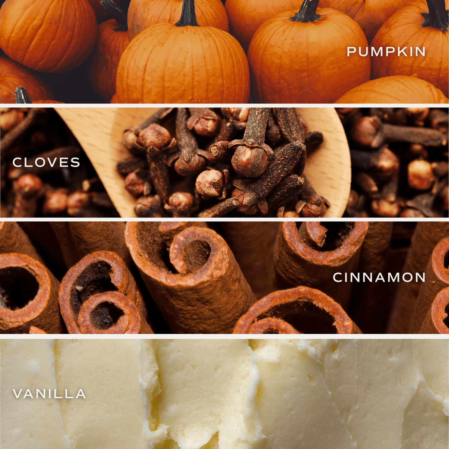 *NEW* Pumpkin Spice Reed Diffuser - Fall Decor & Gifts