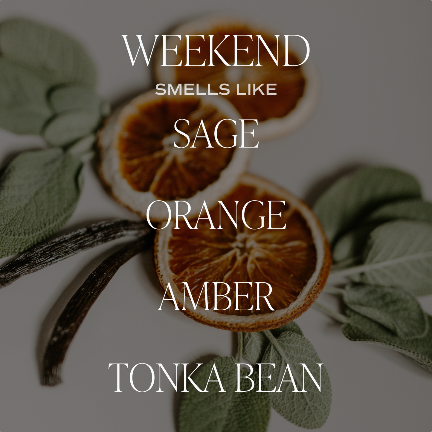Weekend Sweet Water Decor | Hanging Air Freshener